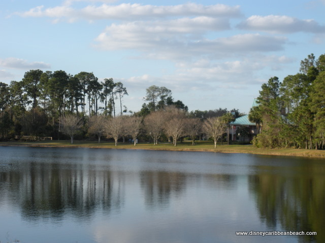Barefoot Bay and Landscaping